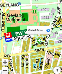 Central Grove (D14), Condominium #570662481